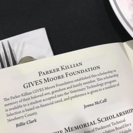 56161349_2187053781378441_2080399454292148224_n