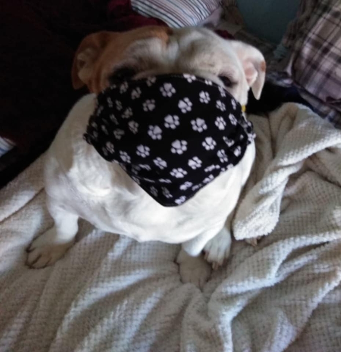 94526922_2942686995815112_6011358045639016448_n